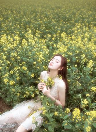 无颜之月第一季动漫全集