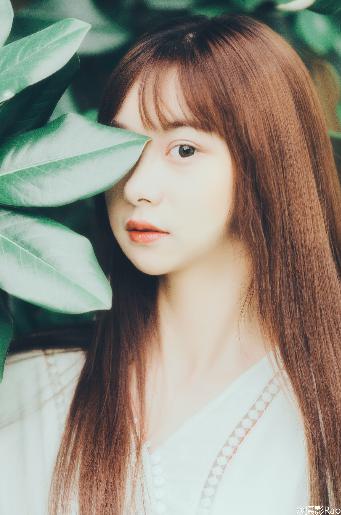 在线观看国产高清电视剧免费