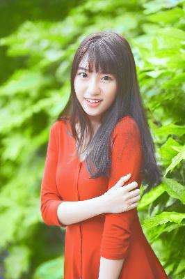 护心电视剧免费观看全集在线播放