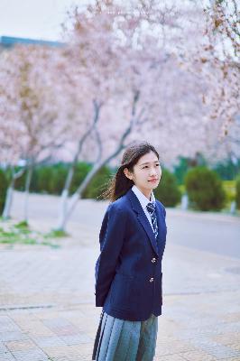 志愿军3浴血和平