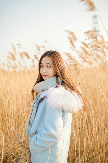 巡回检察组免费观看全集完整版