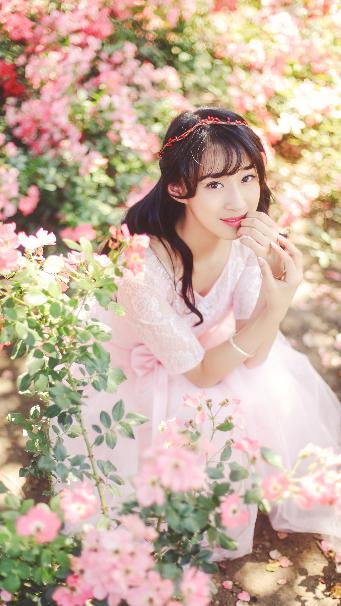 长安二十四计全集免费观看