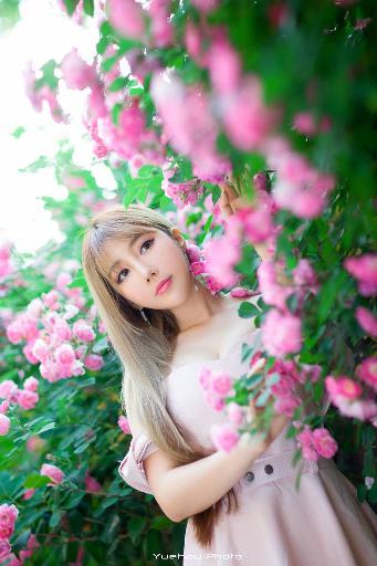 青柠电影免费全集完整版