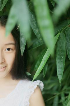 度华年电视剧在线观看免费高清版