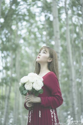 老牛影院在线播放免费高清电视剧